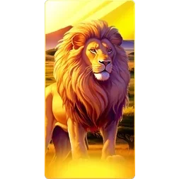 Lion
Safari